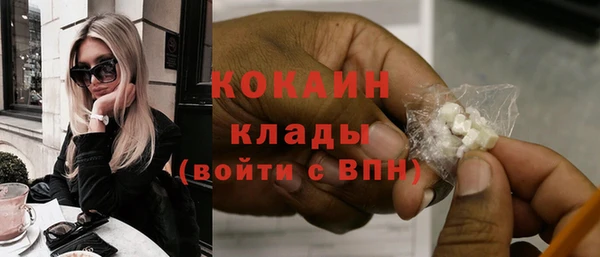 дживик Верея