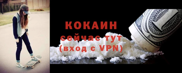 дживик Верея
