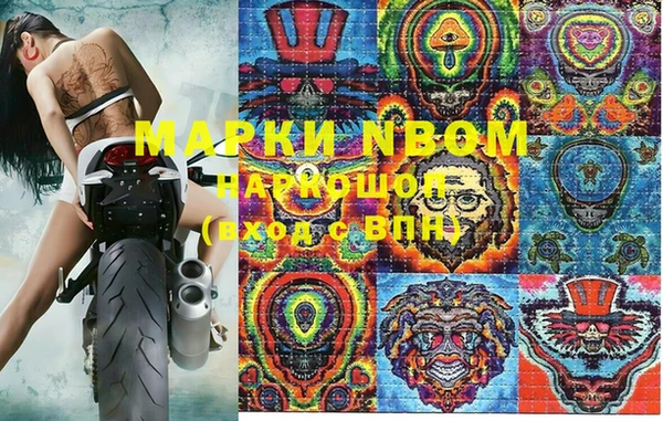 тгк Володарск