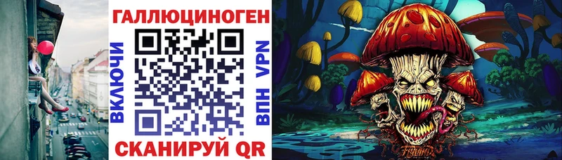 Псилоцибиновые грибы Psilocybine cubensis  Владивосток 
